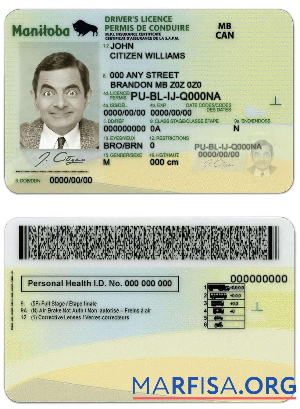 Printable Canada Manitoba province driving license template